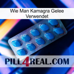 How To Use Kamagra Jelly viagra1